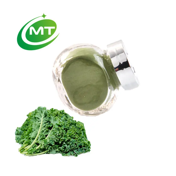 Bubuk Kale organik penjualan laris bubuk sayur 100% sampel gratis murni harga rendah sampel gratis bubuk jus Kale