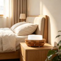 Humidificateur d'air compact pour table, 200 ml, écologique, nébuliseur ultrasonique, fonction de minuterie, diffuseur d'huiles essentielles