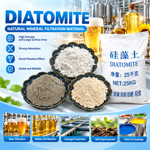 Filtro in polvere <span class=keywords><strong>di</strong></span> Diatomite per uso <span class=keywords><strong>alimentare</strong></span> a rete 325 per uso industriale adsorbimento <span class=keywords><strong>di</strong></span> solidi sospesi prodotti <span class=keywords><strong>di</strong></span> <span class=keywords><strong>terra</strong></span> <span class=keywords><strong>diatomacea</strong></span> - Product Image 2