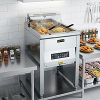 Gewerbliche 40L Elektrische Fritteuse Digitales Bedienfeld Ölschmelzfunktion Ablassventil Lebensmittelechter Edelstahl Multi-Spannung
