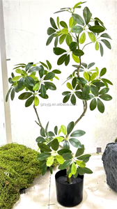 Pie de pato artificial de madera resistente a los rayos UV planta verde artificial en maceta para interior hogar Hotel ventana pantalla decoración bonsái - Product Image 4