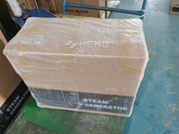 Generador de Vapor para Baño Turco de 9KW, Suministro de Fábrica, para Hammam