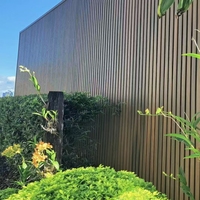 Panneau mural WPC co-extrudé ignifuge rainuré 219x26mm, grain de bois, rainurage mâle-femelle, revêtement imperméable