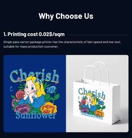 Printer Digital Inkjet Semi Otomatis Roll to Roll Format Besar Murah untuk Tas Non Woven, Tas Kertas, Serbet, Karton