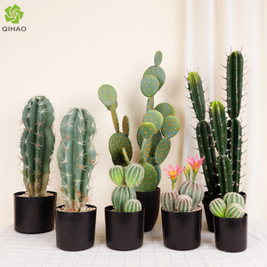 Plantas Artificiales de Cactus en Maceta de 10cm-30cm de Altura, Simulación Realista, Decoración de Escritorio para Interiores, Suculentas Verdes - Product Image 4