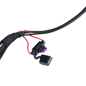 BEST Private Label Originele Auto Autoconnector 20231214 Zekeringkast Tyco Connector 2-pins Ontstekingskabelboom - Product Image 6