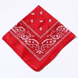 Bandana à motifs, foulard occidental pour cheveux, accessoire décoratif pour femme, idéal pour les festivals de musique et les sorties du week-end - Product Image 2
