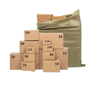 Kemasan karton ekspor untuk forwarder pengiriman DDP melalui agen UPS 1688 ke toko online Jerman kotak kardus Cina