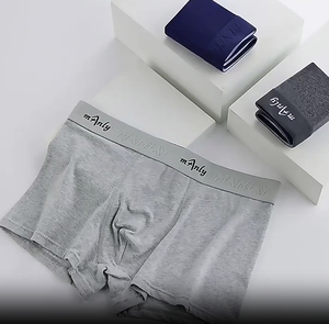 OEM/ODM morbido cotone da <span class=keywords><strong>uomo</strong></span> mutande traspiranti grigie grigie nere leggere Boxer <span class=keywords><strong>slip</strong></span> da <span class=keywords><strong>uomo</strong></span> - Product Image 1