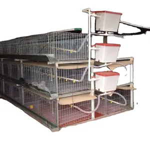 Animal cages H Type Automatic Battery Broiler Chicken Cage for broilers and baby chicks farming