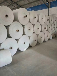 Cường Độ Cao Màu Xanh Lá Cây 25Kg 50Kg PP + PE Dệt Túi Bán Buôn Có Thể Tái Chế Nhiệt Con Dấu Màn Hình In Nông Nghiệp Bao Cho Gạo - Product Image 3