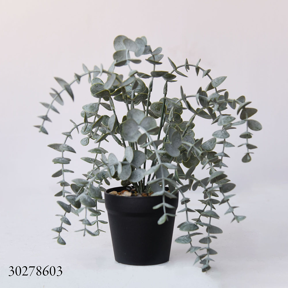 25 cm de altura total