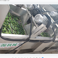 XIYUAN Automatische Luchtbel Fruit- en Groentewasmachine met Nauwkeurige Temperatuurregeling voor Restaurantgebruik, Maïsverwerking, Nieuw