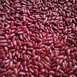 Аргентина/США красная фасоль однородного цвета с низким содержанием влаги для экспорта MOQ 20mt - Product Image 5