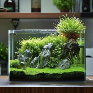 Petit aquarium en verre facile d'entretien, verre transparent, facile à nettoyer, aquarium d'eau douce, aquarium décoratif pour usage domestique - Product Image 4