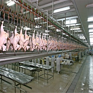Máquina escaldadora para matadero de aves de corral con matadero de pollos - Product Image 1