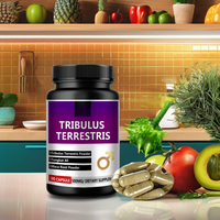 Supplément alimentaire OEM Energy Extrait de plantes Capsules de poudre de Tribulus Terrestris 500mg avec racine de Maca pour le pouvoir de l'homme