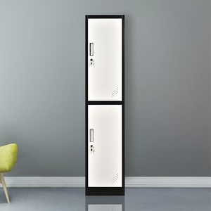 Modern Steel Two Compartment Locker Colorful Panel Metal Bedroom Furniture Metal <strong>Thin</strong> <strong>Wardrobe</strong> for Home Use - Product Image 2