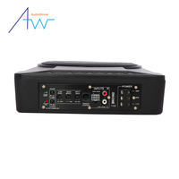 Subwoofers audio sous-marins haute performance de 10 pouces à bobine simple avec amplificateur DC 12V pour l'amélioration de l'audio automobile Audiowiner