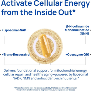 High quality private label ODM OEM NAD+ capsules CELLULAR ENERGY CELLULAR METABOLISM SUPPORT POSTATE HEALTH - Product Image 3