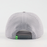 Casquettes de golf et de baseball personnalisées OEM BSCI en PVC avec logo coloré, en tissu Oxford Dobby Argyle, imperméables, découpées au laser, perforées, avec boucle en cuivre doré