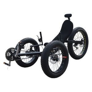 Triciclo reclinable para personas mayores, rueda trasera grande, neumático ancho, todoterreno, envío <span class=keywords><strong>gratis</strong></span> - Product Image 5