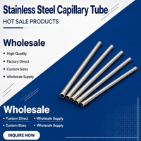 Tube capillaire en acier inoxydable 316 304 316L sur mesure, options de polissage personnalisées pour instruments analytiques et sondes de capteur