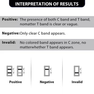 हाथी winbiod H-2 पशु परीक्षण किट के लिए तेजी से कोलाइडल गोल्ड कार्ड पालतू बिल्ली के लिए तेजी से कोलाइडल गोल्ड कार्ड - Product Image 5