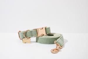 Correa de perro de pana verde salvia. Paso para niña perro. Cachorro con lazo personalizado. Conjunto de arnés y correa para collar de perro - Product Image 3