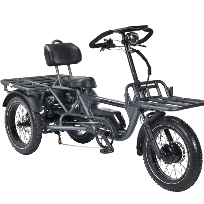 2024 più recente tre ruote trike e bike con 48V 500w/750w/1000W tricicli elettrici 3 ruote carico trike pneumatico grasso triciclo