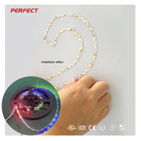 Strip LED SMD5050 RGBW Bentuk S yang Dapat Diprogram dengan IC Terintegrasi DC5V60LED/M 12.5W/M Lumen Tinggi untuk Dekorasi Iklan dan Pencahayaan