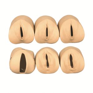 KyrenMed Modelo de Cambios de Canales Cervicales y de Nacimiento Prenatal, Simulador <span class=keywords><strong>Intra</strong></span> Uterino Femenino, Modelo de Cambios de Canales Cervicales - Product Image 3