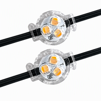 Lumières LED ponctuelles modernes DC12V 30mm RGB à pixels adressables, étanches IP68 pour extérieur, UCS2904, pour avant-toits, toits et façades