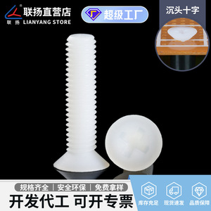 Vis à tête fraisée Phillips en nylon Lianyang, métriques, isolées en plastique blanc, qualité standard A - Product Image 5