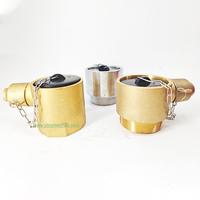 Adaptateur externe standard en laiton BS336 de 2,5 pouces, filetage mâle BS, raccord rapide pour tuyau d'incendie, bouche d'ince
