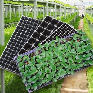 Plateau de <span class=keywords><strong>semis</strong></span> en plastique <span class=keywords><strong>pour</strong></span> pépinière, 72 cellules, vente en gros, <span class=keywords><strong>pour</strong></span> la germination des graines et la propagation des plantes, <span class=keywords><strong>pots</strong></span> de démarrage <span class=keywords><strong>pour</strong></span> le jardin - Product Image 2