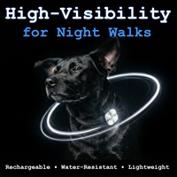Collier de sécurité pour chien, lumière LED rechargeable, pour la marche nocturne, à clipser, haute visibilité, résistant à l'eau, USB-C