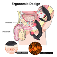 Jouets érotiques Sexuels de haute qualité Vibromasseur vaginal Anal Plug anal Massage de la prostate Jouet sexuel pour homme AMZ Top Seller Bolas Anales