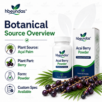 Poudre de baies d'açaï lyophilisées HBEUNDAS en vrac, poudre de fruit d'açaï naturelle de qualité alimentaire pour smoothies et boissons