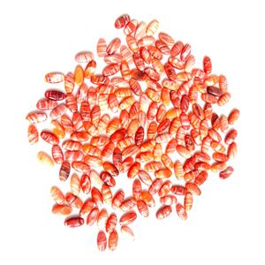 Natural Orange Spiny Oyster Cabochon Spiny Oyster Copper turchese cuscino Cabochon <span class=keywords><strong>pietra</strong></span> <span class=keywords><strong>preziosa</strong></span> - Product Image 4