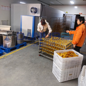 เครื่องอบแห้งส้มแบบมืออาชีพ ห้องอบแห้งส้ม สายการผลิตทำความสะอาด หั่น และอบแห้งส้ม เครื่องอบแห้งส้ม - Product Image 2