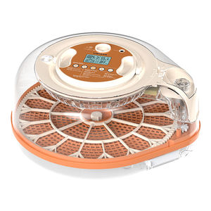 सस्ते और टिकाऊ अद्वितीय डिजाइन ऊर्जा बचत उपकरण मिनी 26-अंडे के तापमान नियंत्रक - Product Image 2