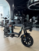 Trottinette électrique à une roue SAIGE, moteur Znen, trottinette rétro, trottinette électrique sans permis, trottinette rétro
