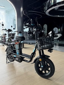 Trottinette électrique à une roue SAIGE, moteur <span class=keywords><strong>Znen</strong></span>, trottinette rétro, trottinette électrique sans permis, trottinette rétro - Product Image 3