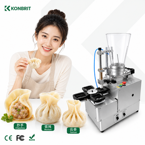Commercial Wonton Machine for Goldfish Wonton Wantan Hoanh Thanh <strong>Momo</strong> and Asian Food Factory - Product Image 4