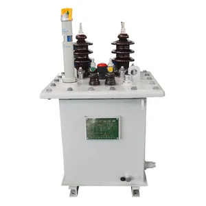 Sntoom Aangepaste D11-30KVA 11/0.23KV Eenfase Transformator 11KV 20KVA Olie Ondergedompeld Distributie Transformator