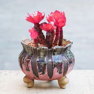 Bonsaï potshot vente à la main argile grand <span class=keywords><strong>pot</strong></span> à bonsaï en <span class=keywords><strong>céramique</strong></span> émaillée pots de jardin extérieur grands pots pour succulent - Product Image 3