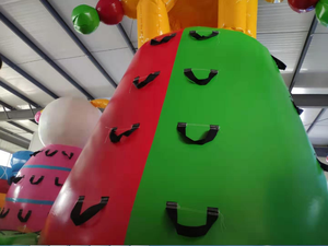 Bán chạy nhất <span class=keywords><strong>inflatable</strong></span> nhảy lâu đài bouncy giá - Product Image 5