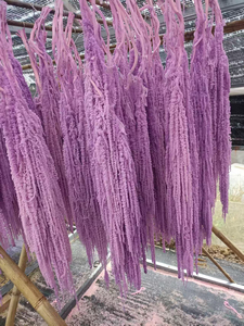 ดอกอะมารันธ์สีชมพูเขีย<span class=keywords><strong>ว</strong></span>ประดับตกแต่งแบบแขวน ขายดี สำหรับงานแต่งงาน/บ้าน/งานอีเ<span class=keywords><strong>ว</strong></span>้นท์ และการจัดดอกไม้ - Product Image 6