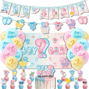 Set de Decoración para Fiesta de Revelación de Género - Guirnalda Niño o Niña, Fondo, Globos, Adorno para Pastel, Artículos para Fiesta - Product Image 1